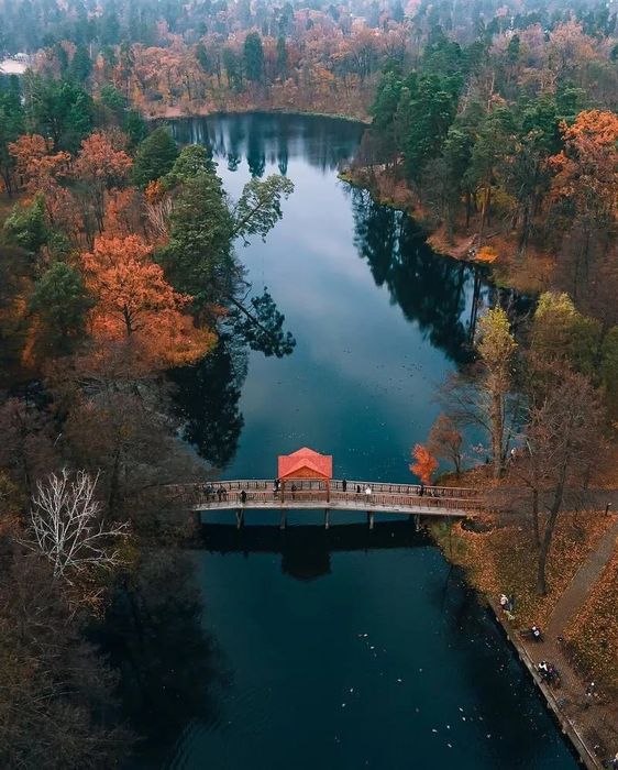 Квартира на вул. Квітки Цісик, 32 в Києві, ID 186011, фото №22