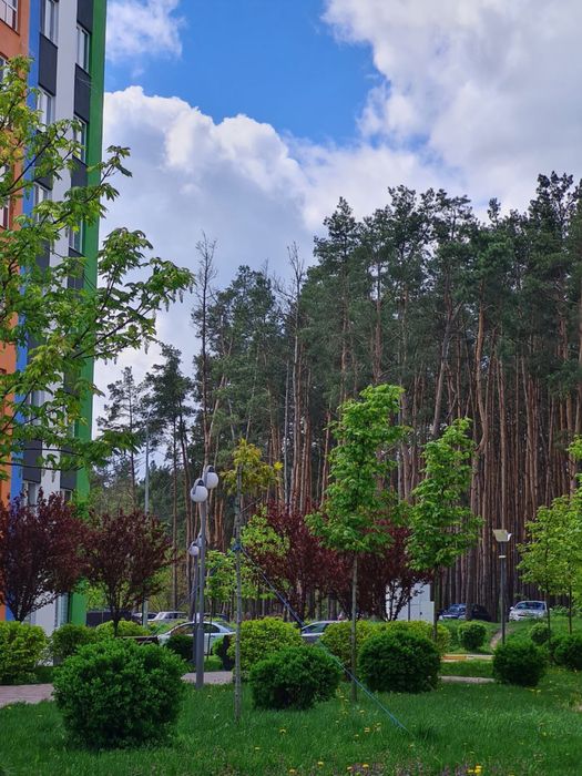 Квартира на Ірпінь в Києві, ID 244456, фото №5