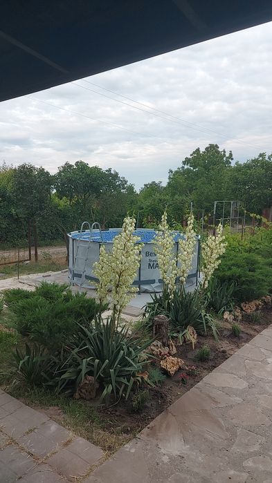 Будинок на Запорізька область, Запоріжжя, ID 422511, фото №5