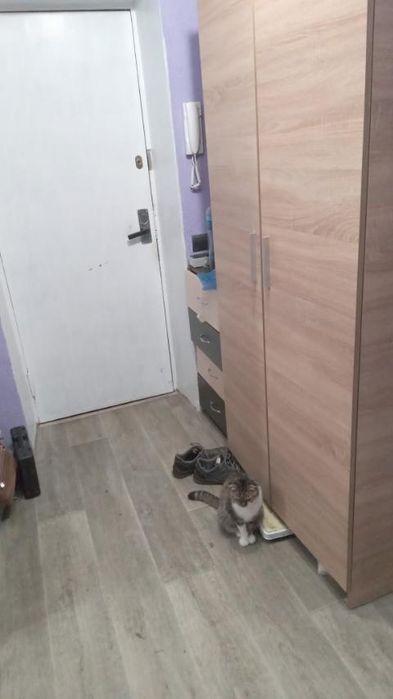 Квартира на вул. Бориспільська, 32а в Київ, ID 326692, фото №2