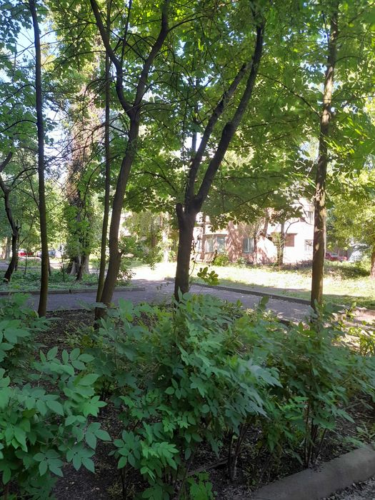 Квартира на вул. Геров АТО, 96 в Кривому Розі, ID 178872, фото №1
