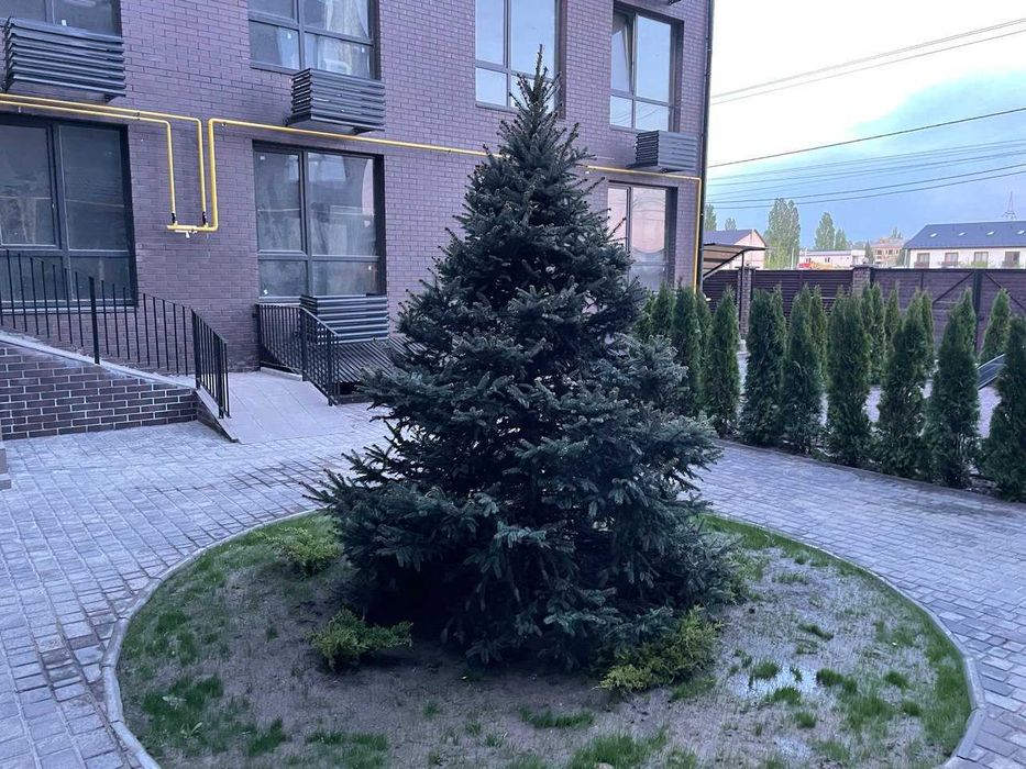 Квартира в Києві, ID 312837, фото №11