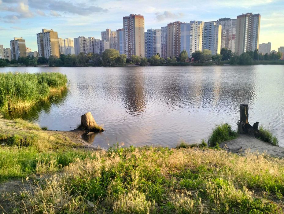 Квартира на вул. Ревуцького, 5 в Київ, ID 203707, фото №2