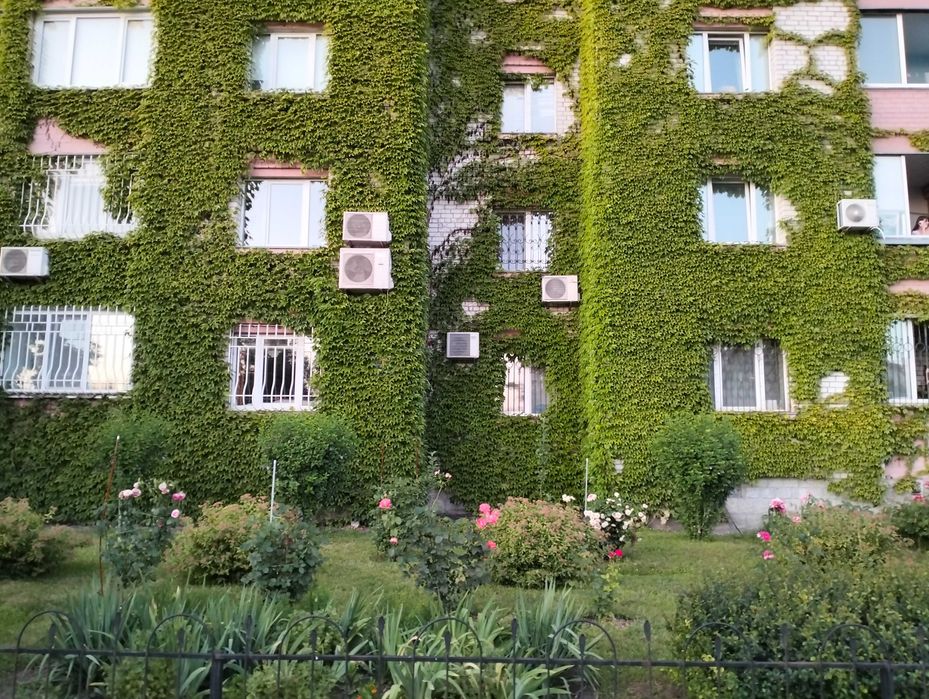 Квартира на вул. Ревуцького, 5 в Київ, ID 203707, фото №3