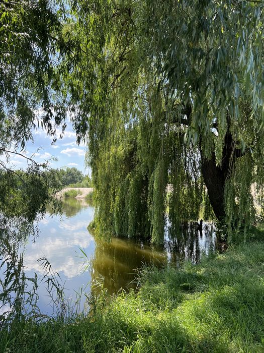 Квартира на ЖК Riviera в Києві, ID 305279, фото №11