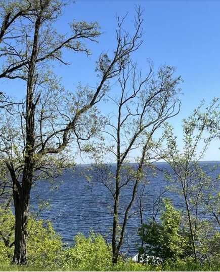 Квартира на вул. Дахнівська, 10 в Черкасах, ID 244444, фото №17