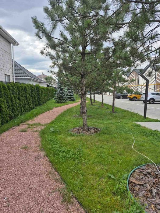 Квартира на ЖК Sanville Park в Києві, ID 476339, фото №13