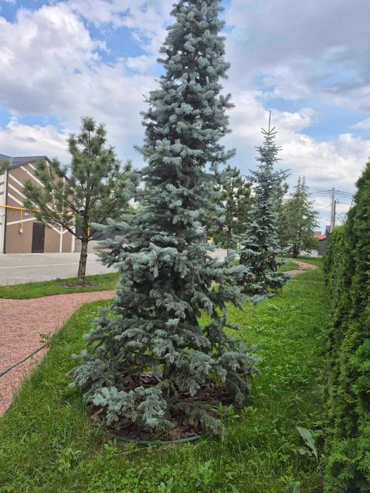 Квартира на ЖК Sanville Park в Києві, ID 476339, фото №15