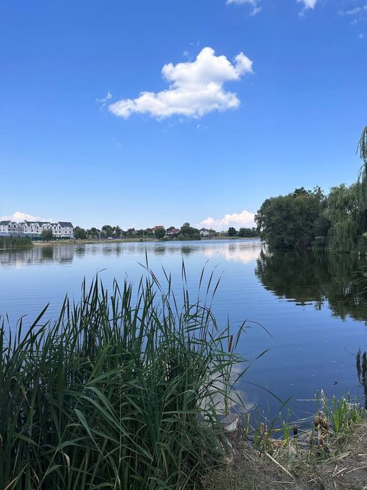 Квартира в Києві, ID 307678, фото №3