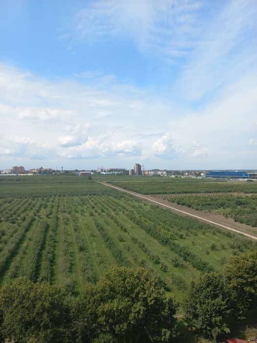 Квартира на ЖК Софія Нова в Києві, ID 312049, фото №5