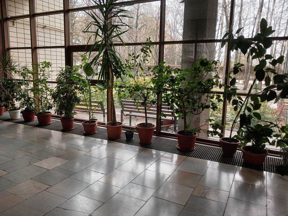 Квартира на вул. Суворова, 11 в Києві, ID 212543, фото №9