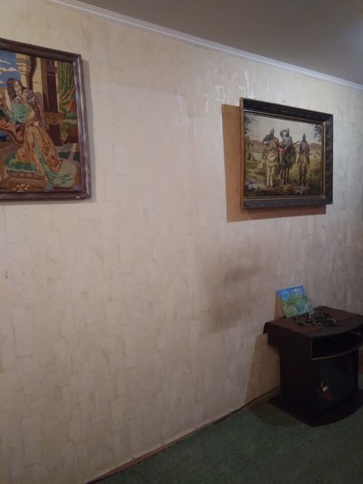 Квартира на Вознесенівський в Запоріжжі, ID 256850, фото №13
