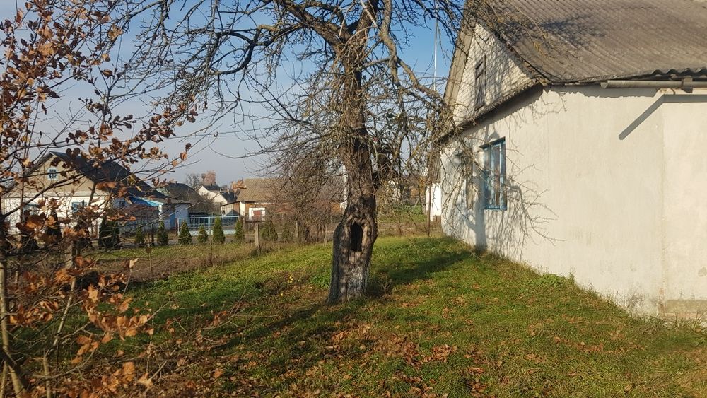 Будинок на Волинська область, Прилісне, ID 416328, фото №3