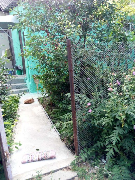 Квартира на р-не пл. Толбухина в Одесі, ID 324276, фото №11