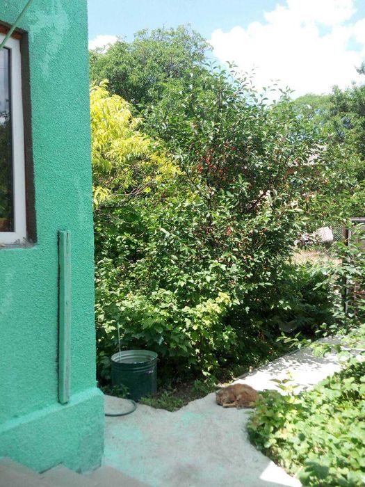 Квартира на р-не пл. Толбухина в Одесі, ID 324276, фото №12