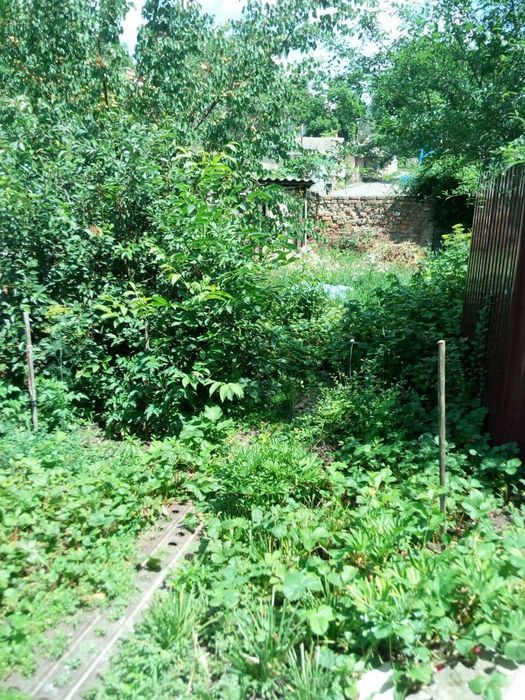 Квартира на р-не пл. Толбухина в Одеса, ID 324276, фото №5