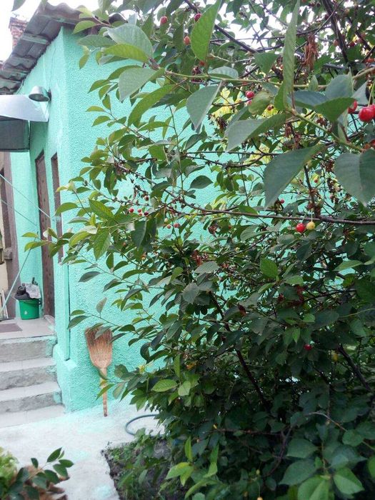 Квартира на р-не пл. Толбухина в Одесі, ID 324276, фото №9