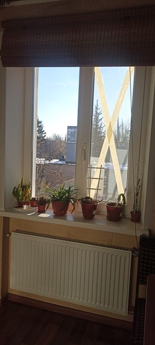 Квартира на Металургійний в Кривому Розі, ID 255063, фото №16
