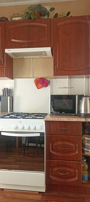 Квартира на Металургійний в Кривому Розі, ID 255063, фото №10