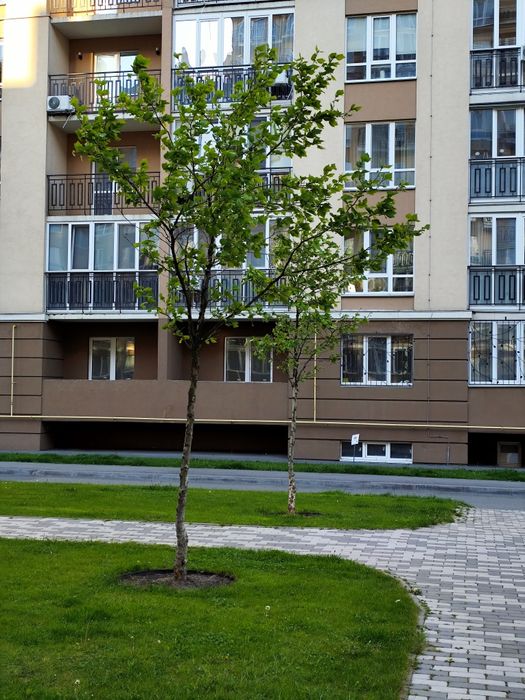 Квартира на ЖК Кришталеві джерела в Києві, ID 194872, фото №14