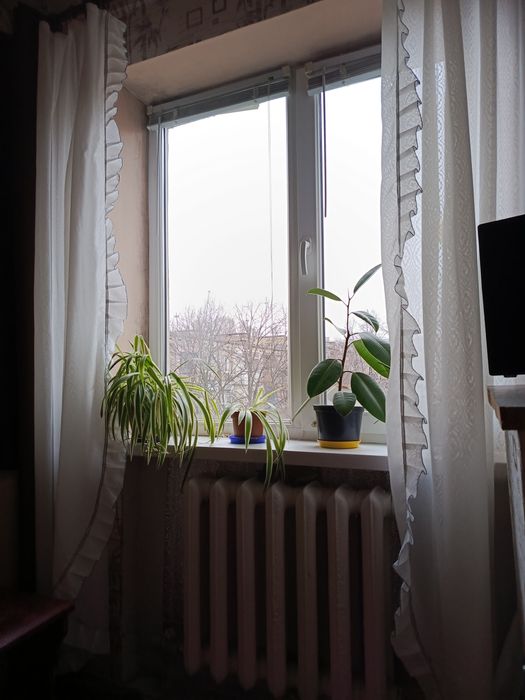 Квартира на вул. Максима Чиженка, 25 в Дніпрі, ID 310672, фото №11