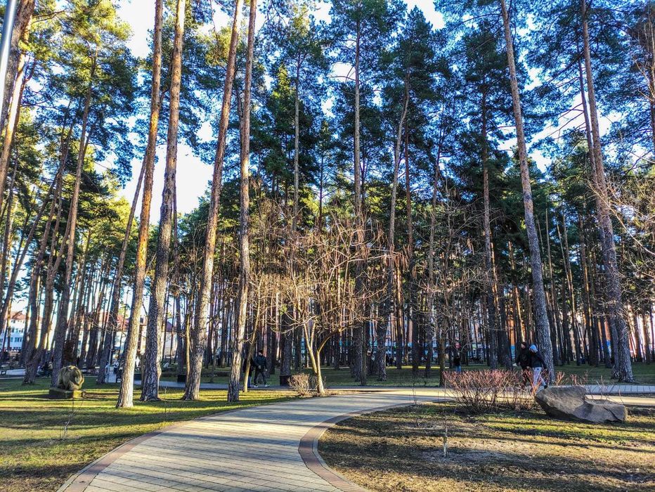 Квартира на Буча в Києві, ID 264272, фото №14