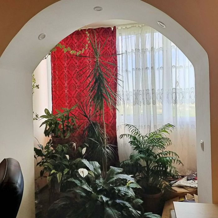 Квартира на вул. Пасічна, 41 в Івано-Франківську, ID 257059, фото №5