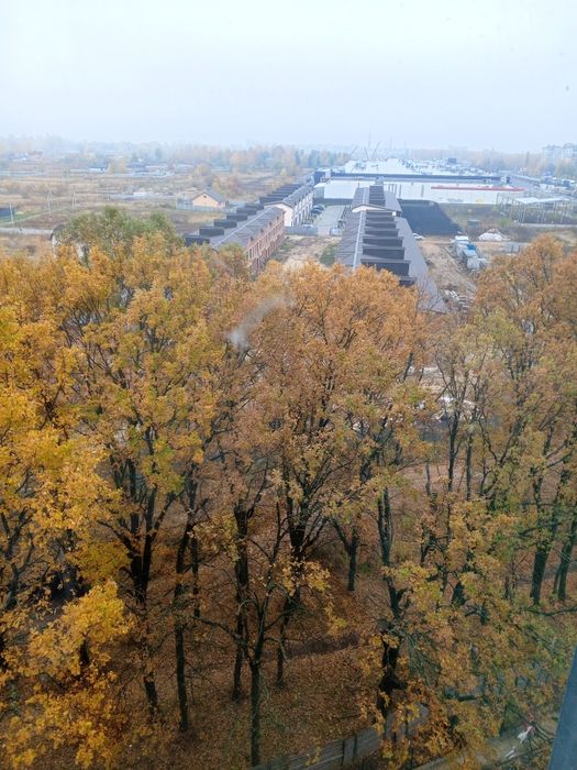Квартира на вул. Багряного, 39 в Чернігові, ID 258134, фото №14
