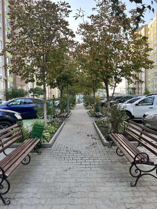 Квартира на вул. Академіка Шалімова, 61-А в Києві, ID 230644, фото №18