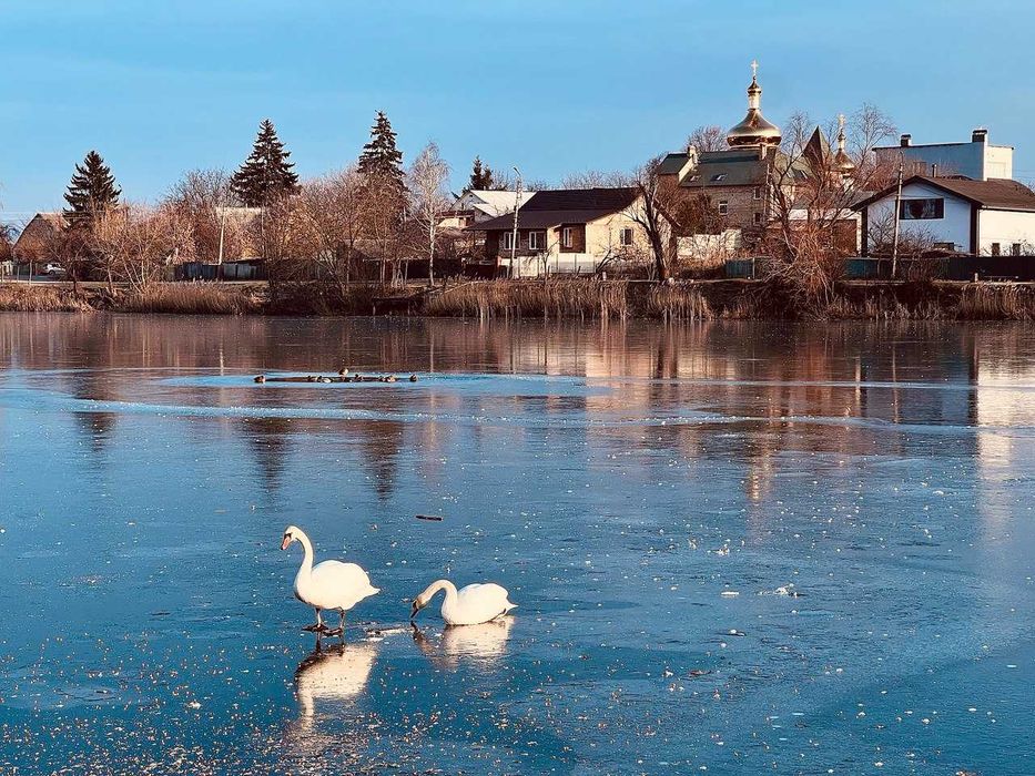 Квартира на біля метро Академмістечко в Києві, ID 307595, фото №20