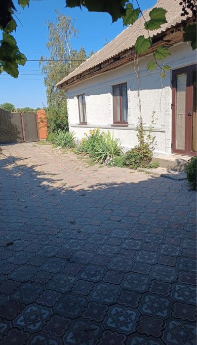 Будинок на Одеська область, Шевченкове, ID 423674, фото №3