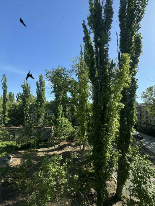 Квартира на на Черемушках в Одесі, ID 180599, фото №3