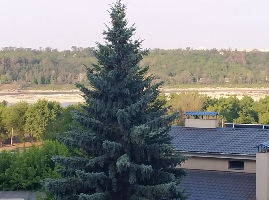 Квартира на вул. Дунайська, 14 в Запоріжжі, ID 387719, фото №13