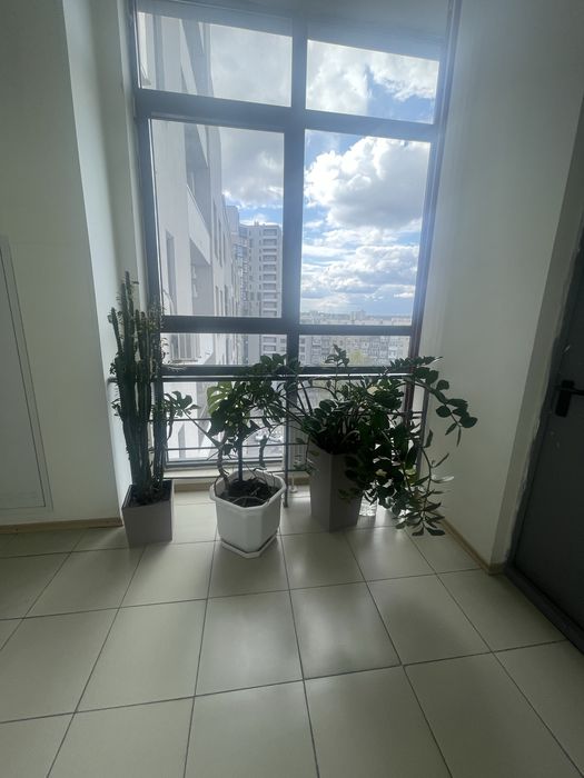 Квартира на пер. Банный, 1 в Харкові, ID 202145, фото №20
