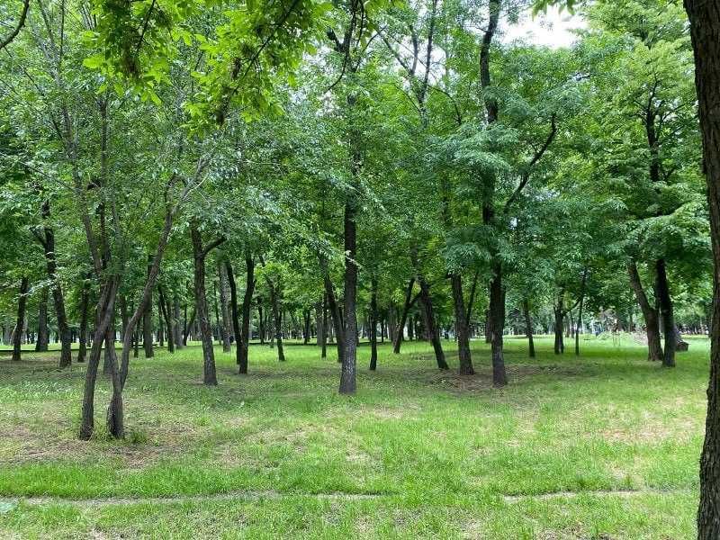Квартира на жк.Forest Hill в Дніпрі, ID 170846, фото №8