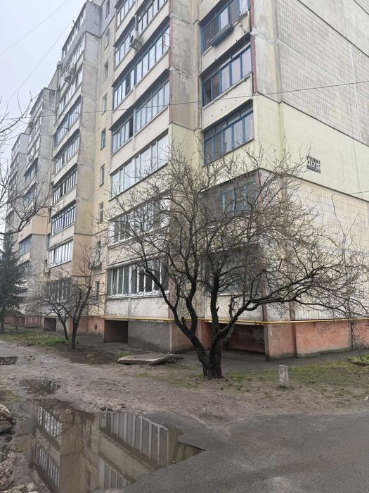 Квартира в Київ, ID 311802, фото №2