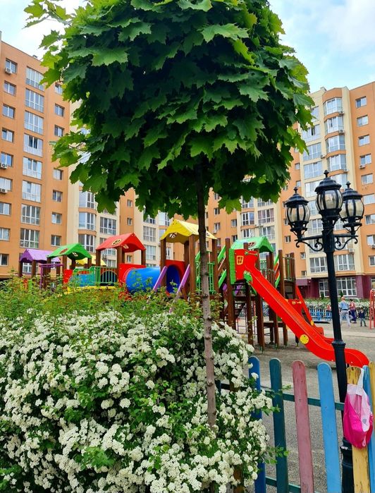 Квартира на вул. Соборна, 126/2 в Києві, ID 259391, фото №9