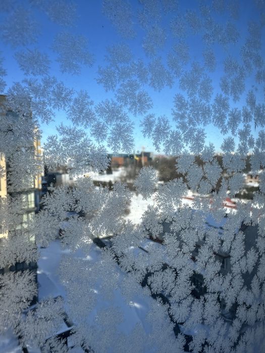 Квартира на ЖК "Harmony Garden" в Хмельницькому, ID 382970, фото №20