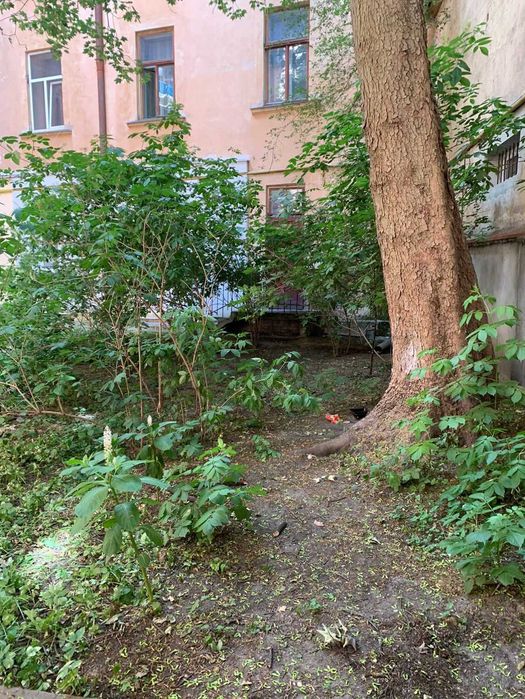 Квартира на вул. Туган-Барановського, 30 в Львові, ID 426274, фото №4