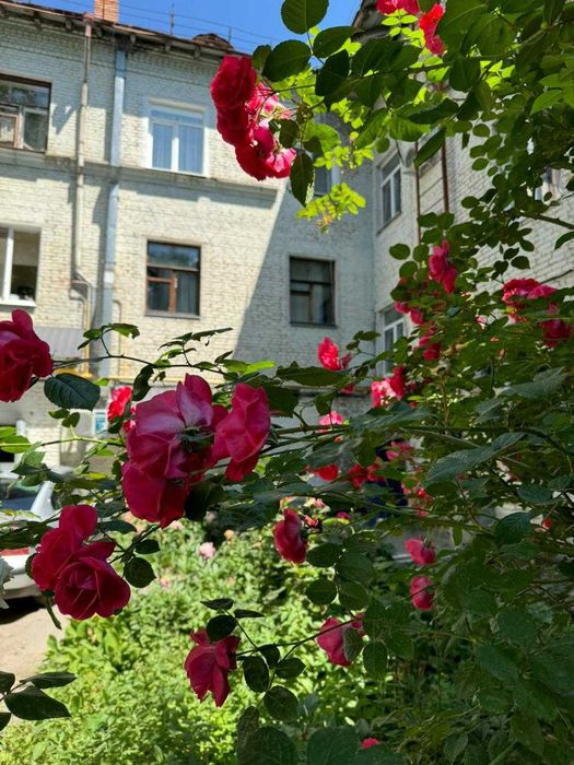 Купити квартиру за адресою Подільський в Кропивницький на Findly.com.ua Квартира на Подільський в Кропивницький, ID 292906, фото №1
