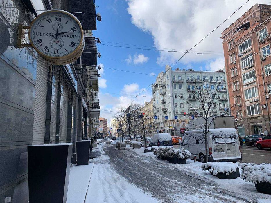 Квартира на вул. Саксаганського, 29 в Києві, ID 325213, фото №18
