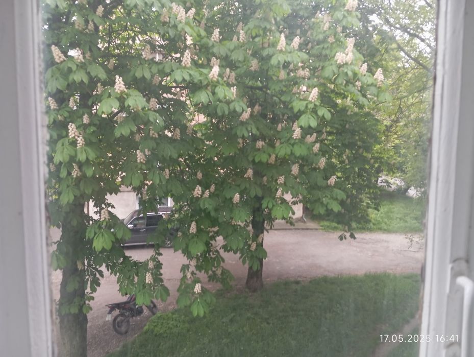 Квартира — Кам'янець-Подільський в Кам'янці-Подільському, ID 401475, фото №7