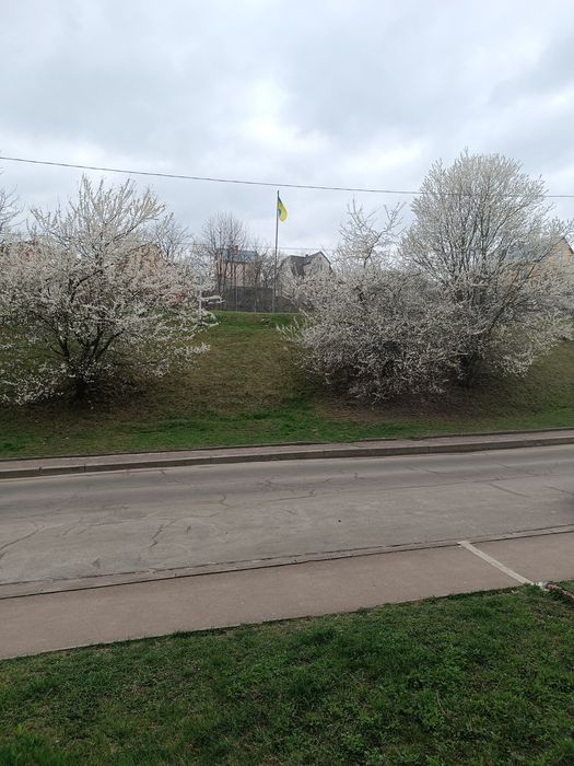 Квартира на вул. Довженка в Львові, ID 311200, фото №2
