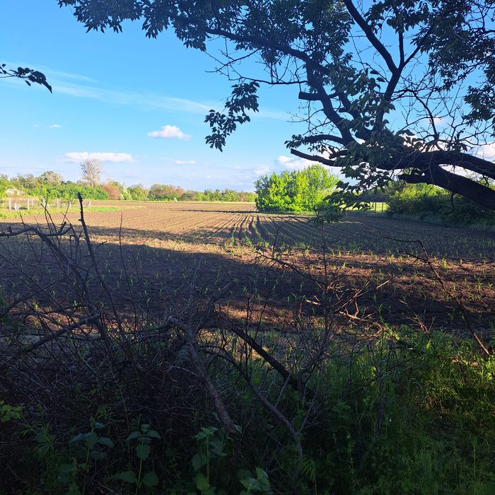 Будинок, Гречане у Дніпропетровській області, ID 421745, фото №10