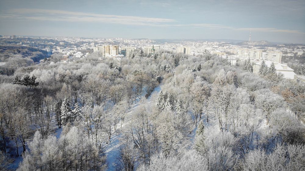 Квартира на вул. Липова Алея в Львові, ID 166590, фото №8