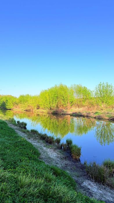Квартира в Києві, ID 307441, фото №5