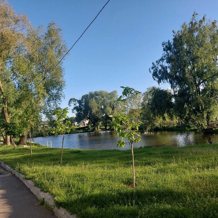Квартира на вул. Головатого, 89 в Києві, ID 322573, фото №13