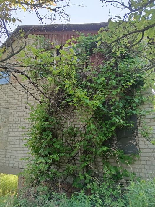 Будинок, Високий у Харківській області, ID 415611, фото №10