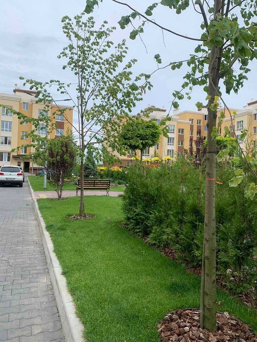 Квартира на ЖК Львівський Затишок в Київ, ID 238763, фото №5