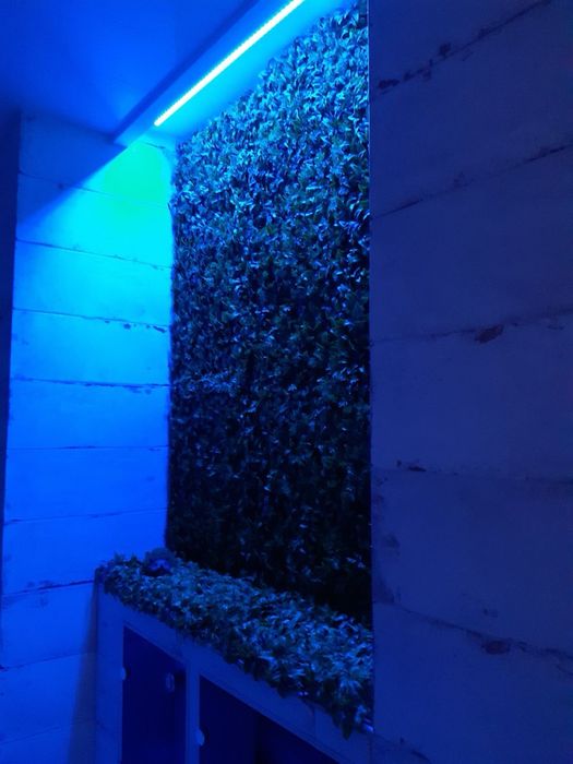Квартира на вул. Степана Руданського, 4/6 в Києві, ID 259159, фото №14